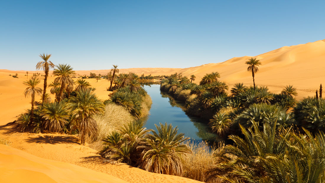 Umm al-Ma Lake - Idyllic oasis in the Awbari Sand Sea, Sahara Desert, Libya.(Photo by Patrick Poendl, Shutterstock ID 72697231)